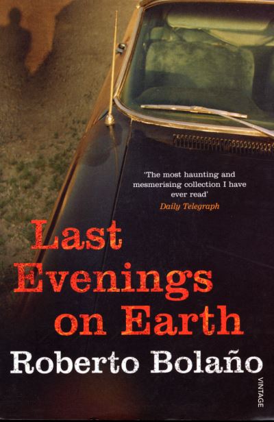 Last evenings on Earth