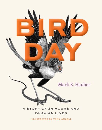 Bird day