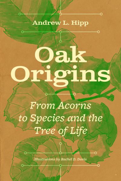 Oak origins