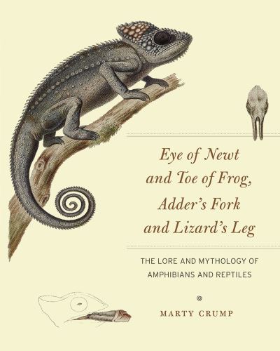 Eye of newt and toe of frog, adder's fork and lizard's leg