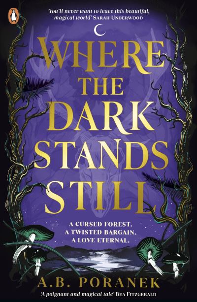 Where the dark stands still