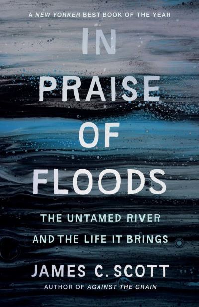 In Praise of Floods