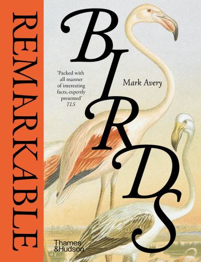 Remarkable birds