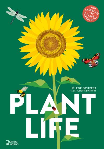 Plant life