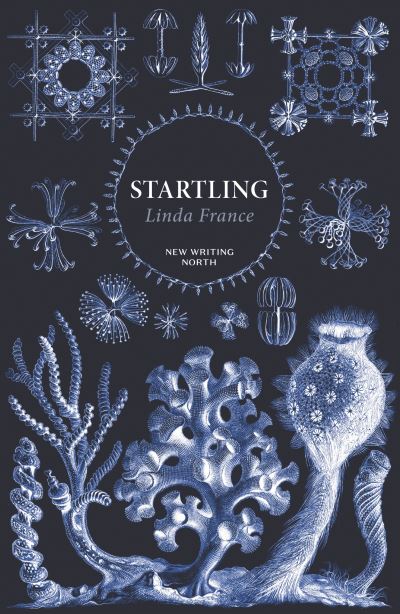 Startling