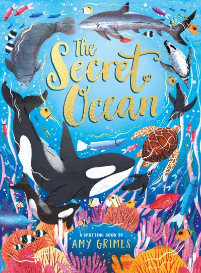 The secret ocean