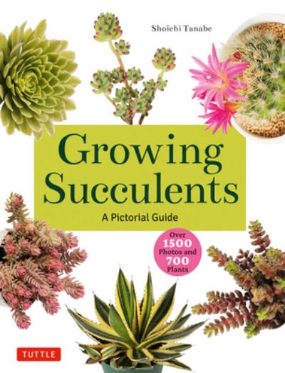 Growing succulents