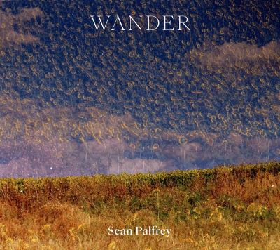Sean Palfrey - wander