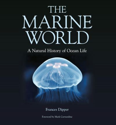 The marine world