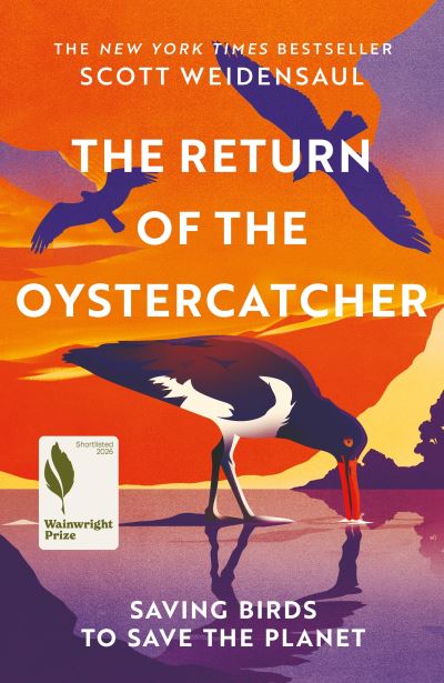The Return of the Oystercatcher