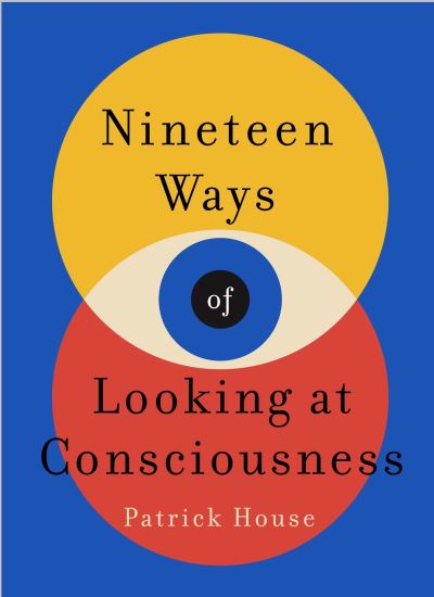 Nineteen ways of looking at consciousness