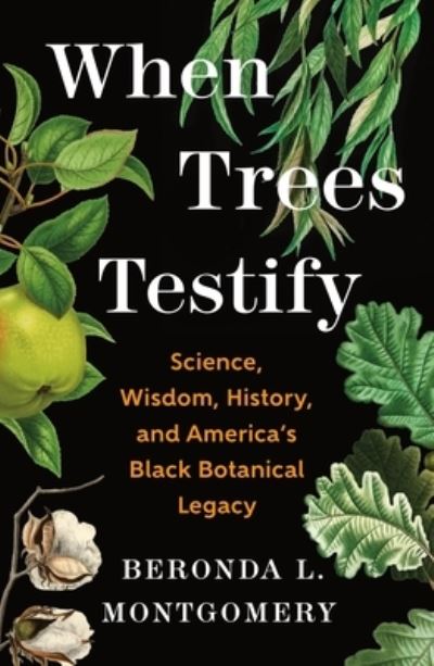 Image for When Trees Testify