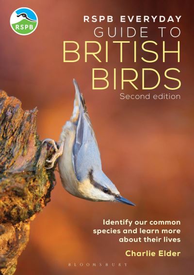The RSPB everyday guide to British birds