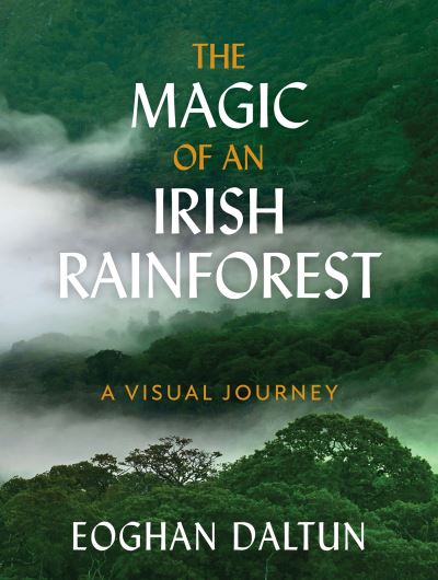 The magic of an Irish rainforest