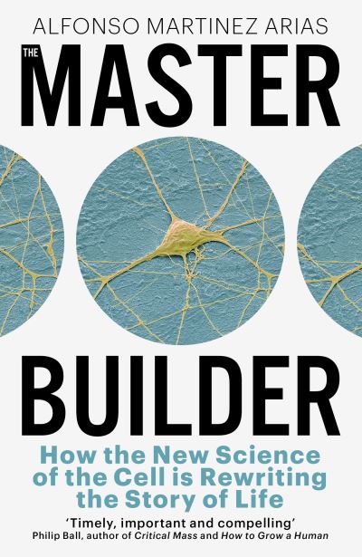 The master builder