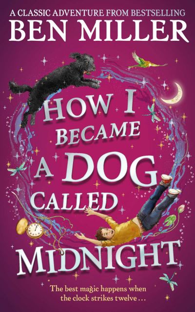 How I became a dog called Midnight