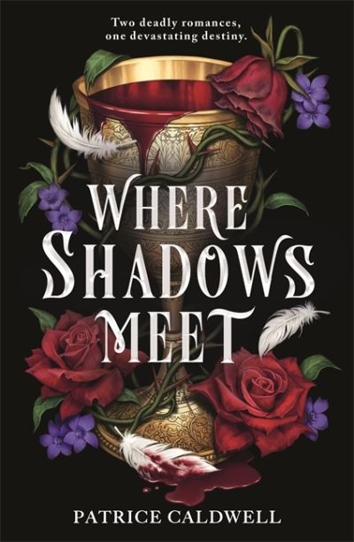 Cover for: Where Shadows Meet