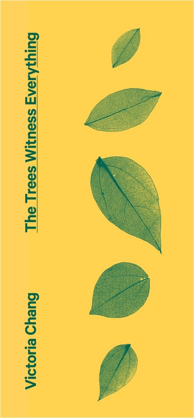 The trees witness everything