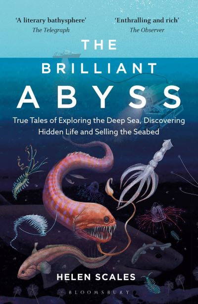 The brilliant abyss