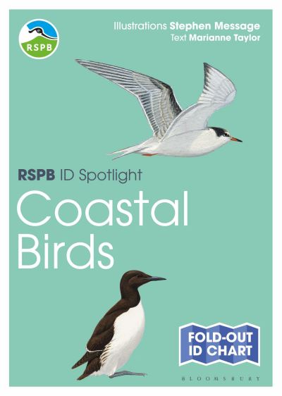 Coastal Birds