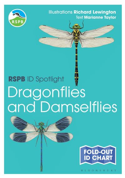 Dragonflies and Damselflies