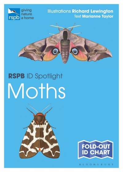Moths