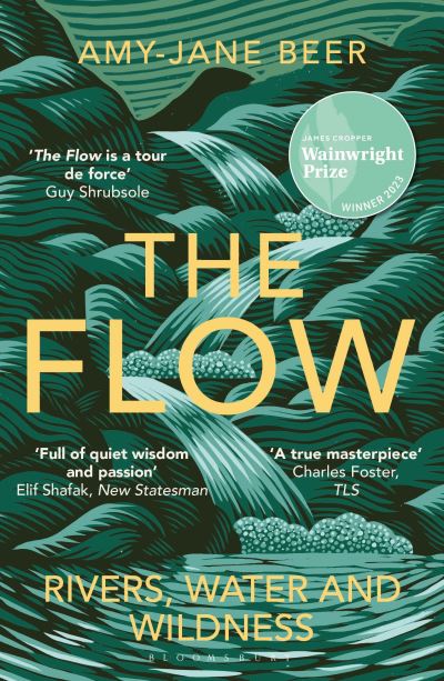 The flow