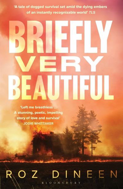 Briefly very beautiful