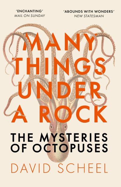 Many things under a rock
