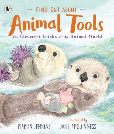 Find out about animal tools