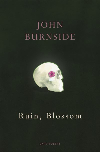 Ruin, blossom