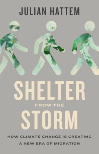 Image for Shelter From the Storm