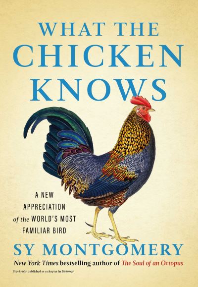What the chicken knows