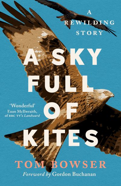 A sky full of kites