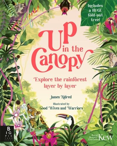 Up in the canopy
