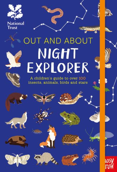 Night explorer