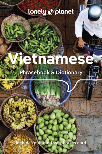 Vietnamese phrasebook & dictionary
