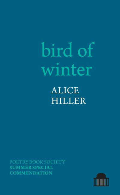Bird of winter