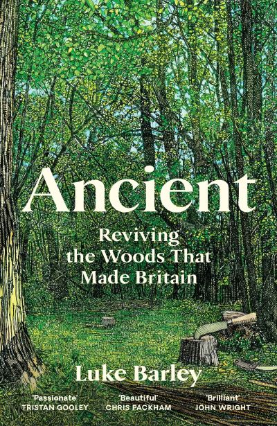 Image for Ancient: Reviving the Woods That Made Britain