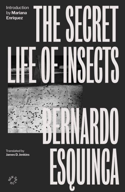 The secret life of insects