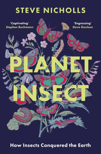 Planet insect