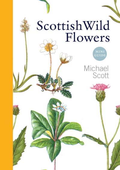 Scottish wild flowers