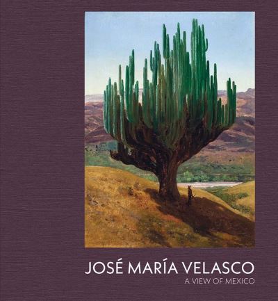 José María Velasco - a view of Mexico