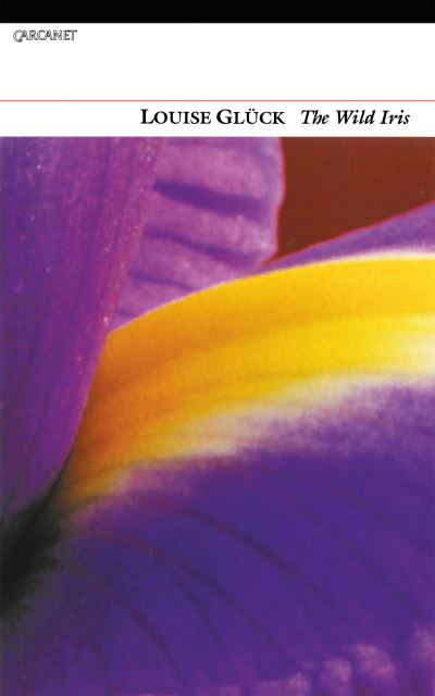 The Wild Iris