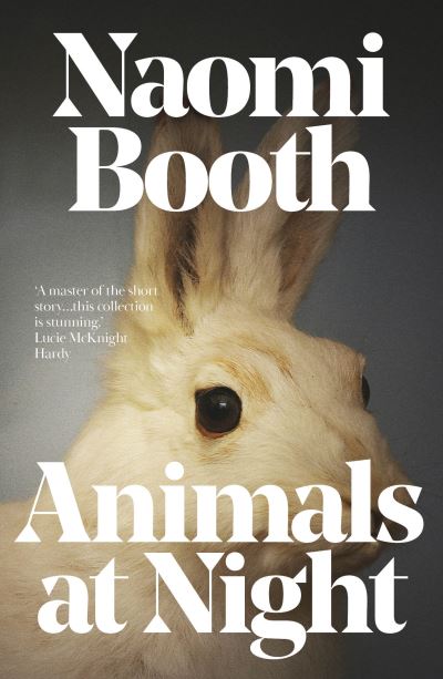 Animals At Night