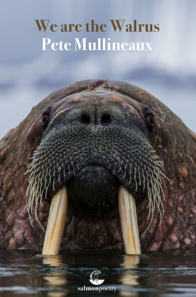 We are the walrus