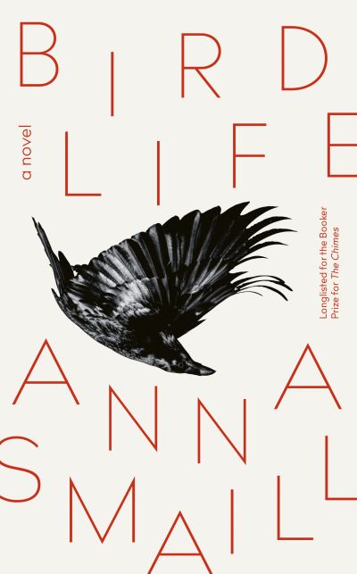 Bird life