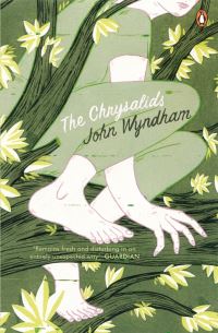 The chrysalids