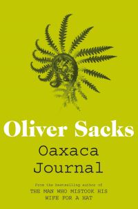 Oaxaca journal