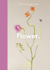 New Photography of the Flower